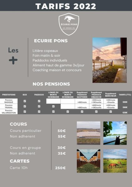 Écurie Pons - Élevage de Bordenave - photo 3