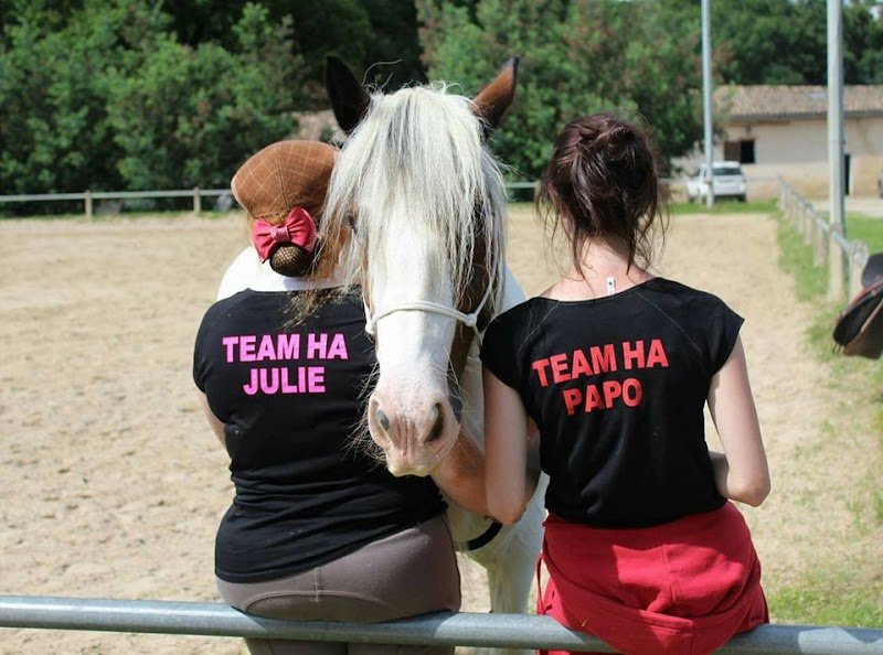 Elevage du Rocher - Ecuries de la H.A.