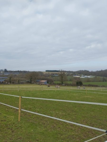 Écurie l'or du Rocher - photo 3