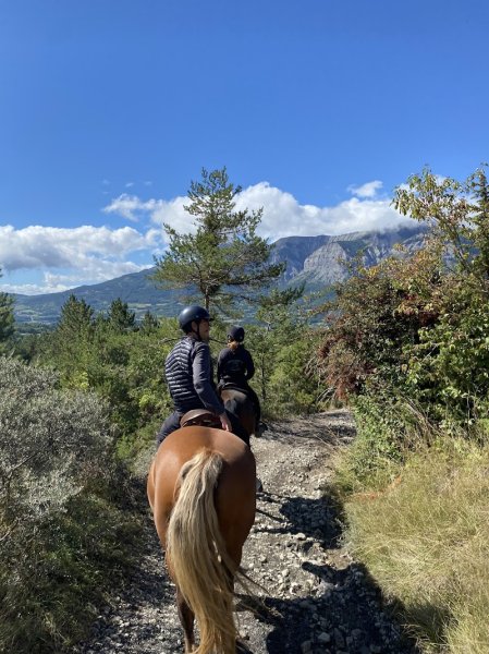 La Ferme Equestre Le Rocher - photo 1