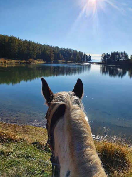 La Ferme Equestre Le Rocher - photo 2