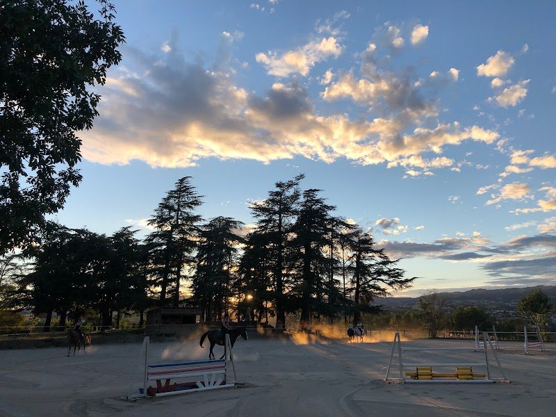 LES ECURIES DE L'OCTROI - photo 3