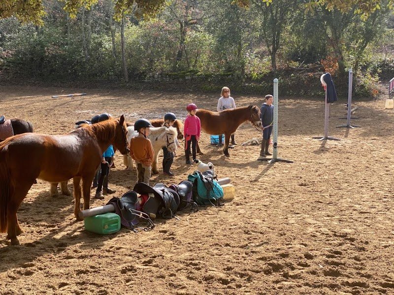 Centre Equestre Les Ecuries du Roc - photo 2
