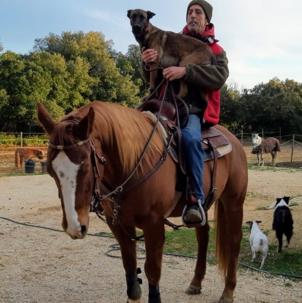 Centre Equestre Les Ecuries du Roc - photo 3