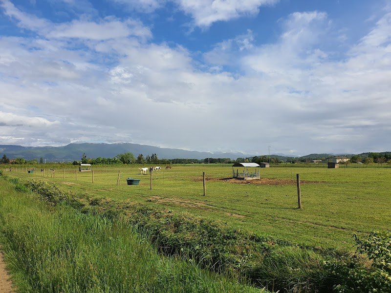 ECURIES DE LA VEORE - photo 2