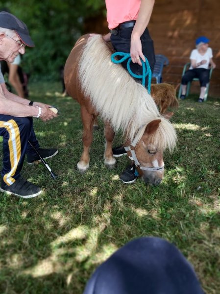 Les Ecuries de Beaumont Sur Oise - photo 1