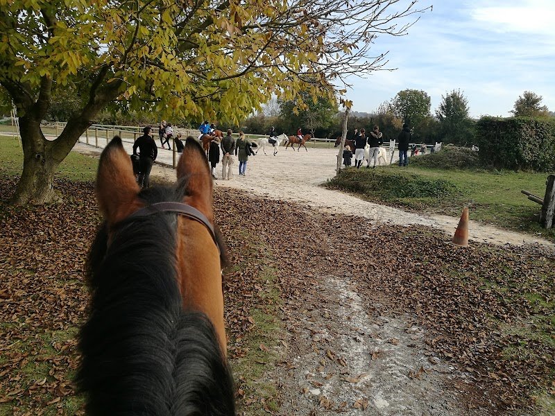 Les Ecuries de Beaumont Sur Oise - photo 2