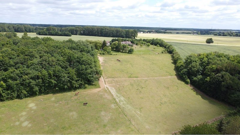 Écuries de la Huberdière - photo 2