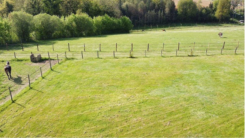 Écuries de la Huberdière - photo 3