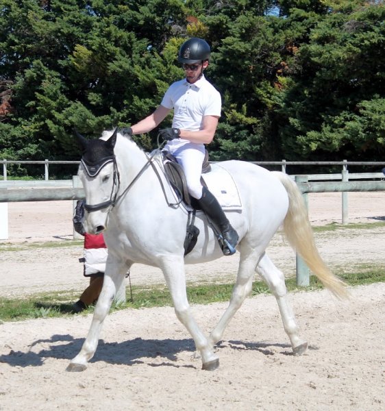 L' écurie verte - photo 1