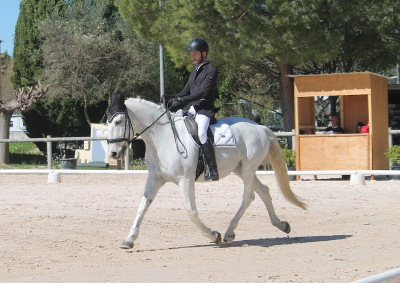 L' écurie verte - photo 2