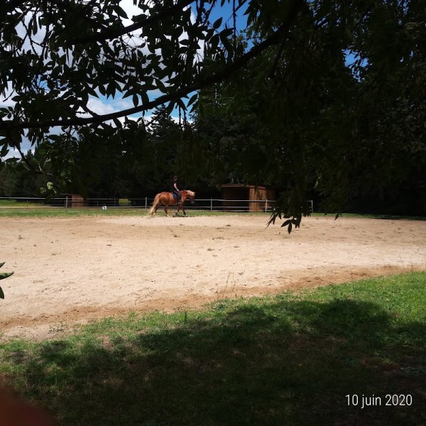 Ecurie du mas de l’étang - photo 2