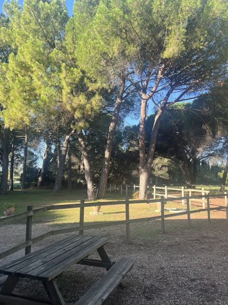 Ecurie du mas de l’étang - photo 3