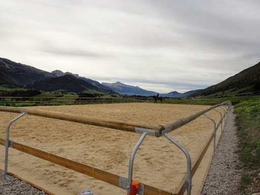 Ecurie du Mas en Vercors - photo 3