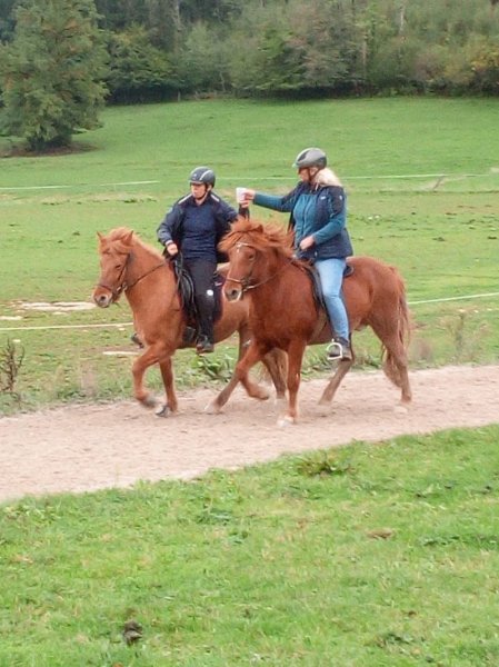 L'écurie des sources - chevaux islandais - photo 3