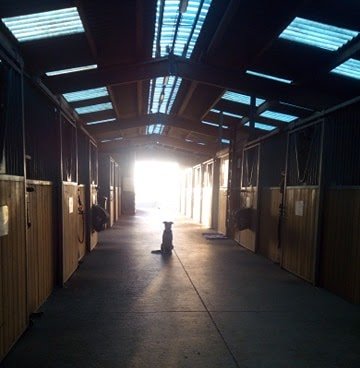 Ecurie Terres d'équilibre - photo 3