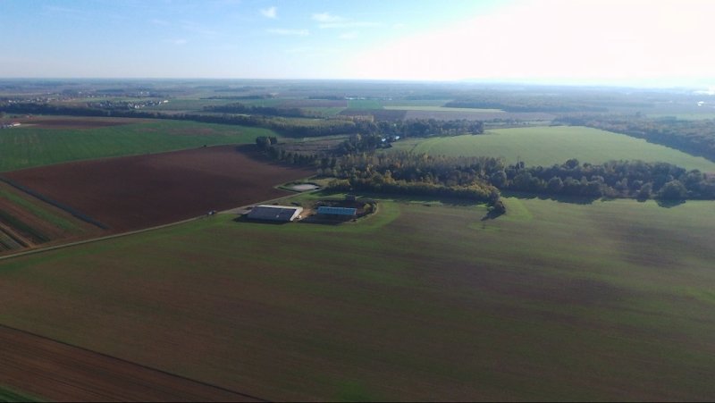 Les Herbues de Poissy pension pour chevaux - photo 1