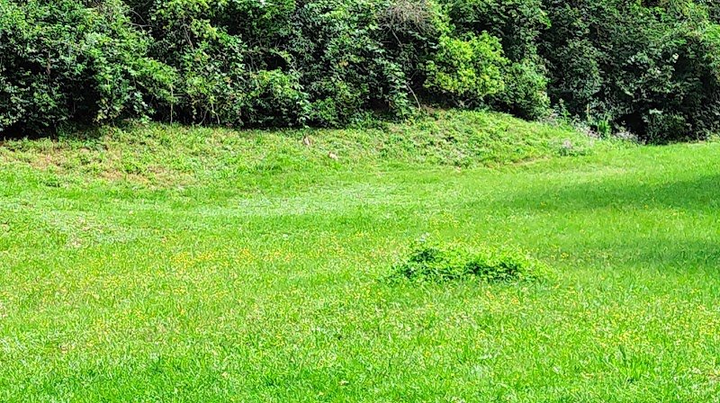 Les Herbues de Poissy pension pour chevaux - photo 2