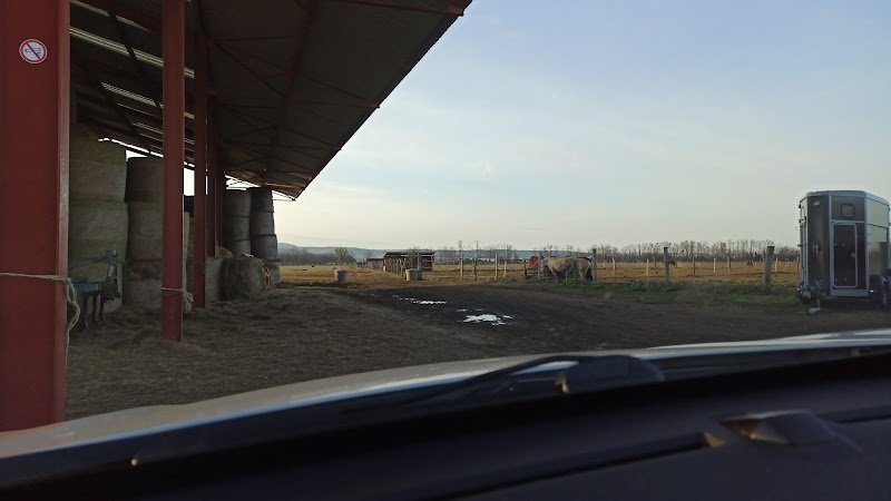 Les Herbues de Poissy pension pour chevaux - photo 3