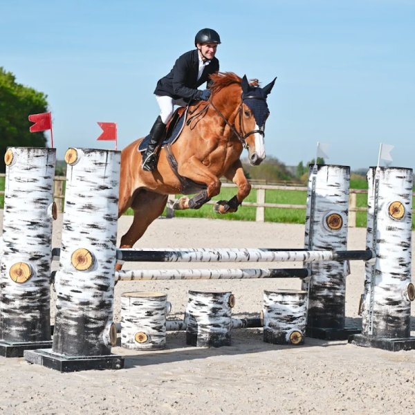 Les Ecuries de Vernon - photo 1