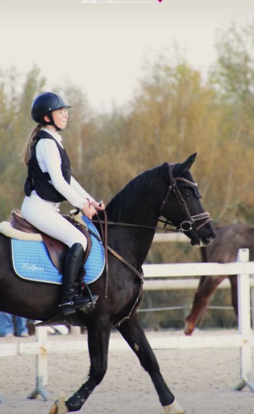 Les Ecuries de Vernon - photo 2