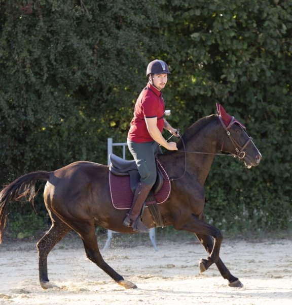 Les Ecuries de Vernon - photo 3