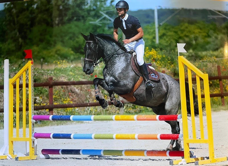 L'écurie de Vernon - photo 2