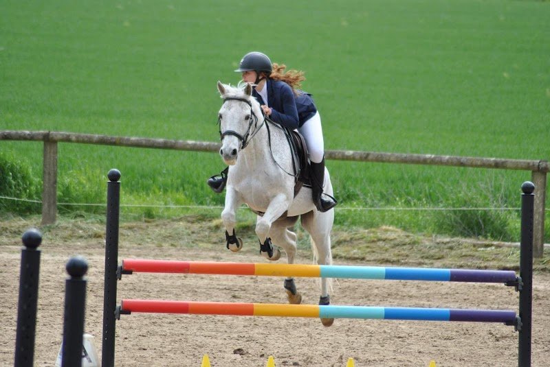 L'écurie de Vernon - photo 3