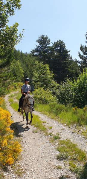 Écurie du Lac - photo 3