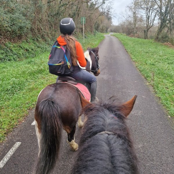 Ecuries All Star - photo 1