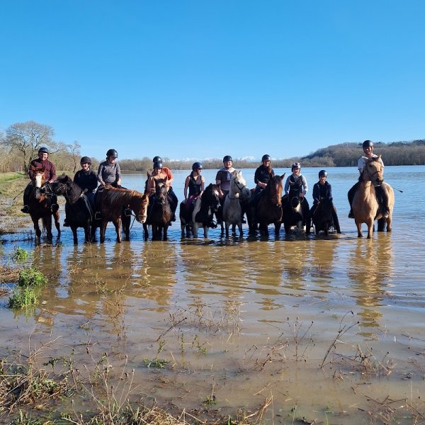 Ecuries All Star - photo 2