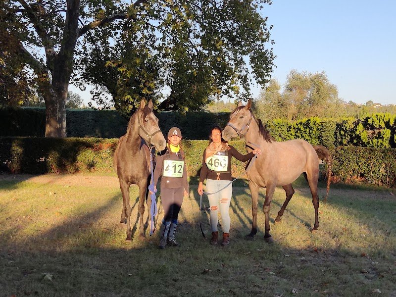 Ecurie Des Salines - photo 3