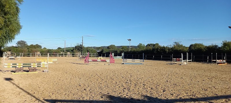 ÉCURIES des MOULIÈRES - pension pour chevaux - Cournonterral - Montpellier - Gigean - St Jean de Vedas - photo 2
