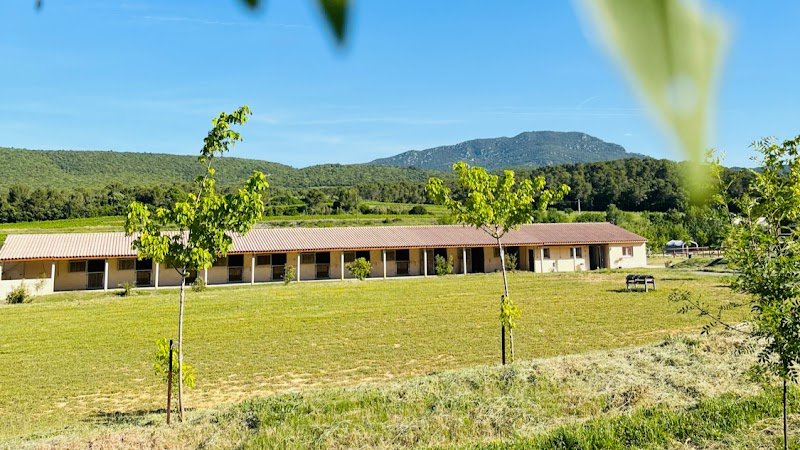 ECURIE BELMONTE - photo 1