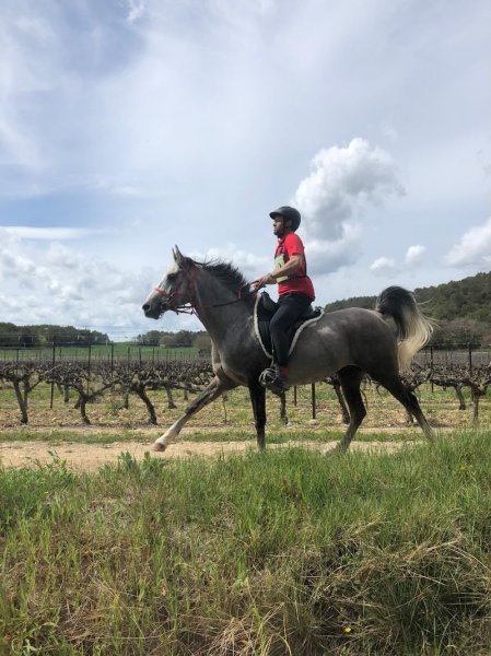 ECURIE DU CAMBOU - photo 3