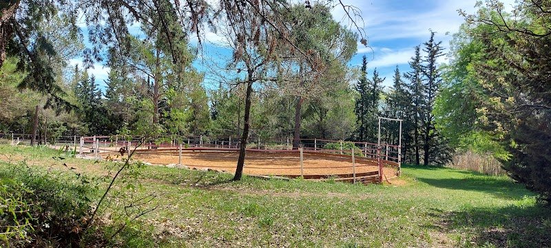 L'écurie des chênes - photo 3