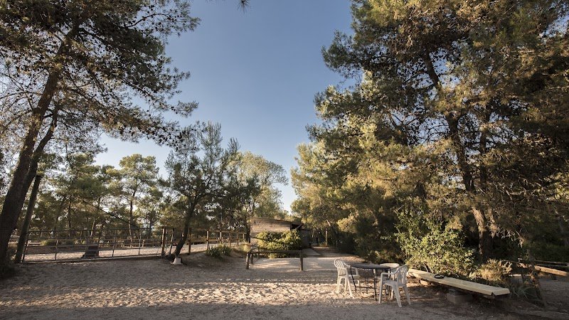 Domaine du Reganel pension chevaux à côté de Saint Gely du Fesc et Montpellier