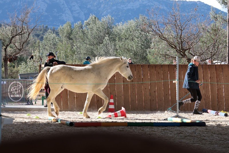 Domaine du Reganel pension chevaux à côté de Saint Gely du Fesc et Montpellier - photo 2