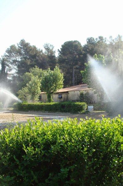 Equitation Montpellier, pension chevaux poneys, CSO - photo 3