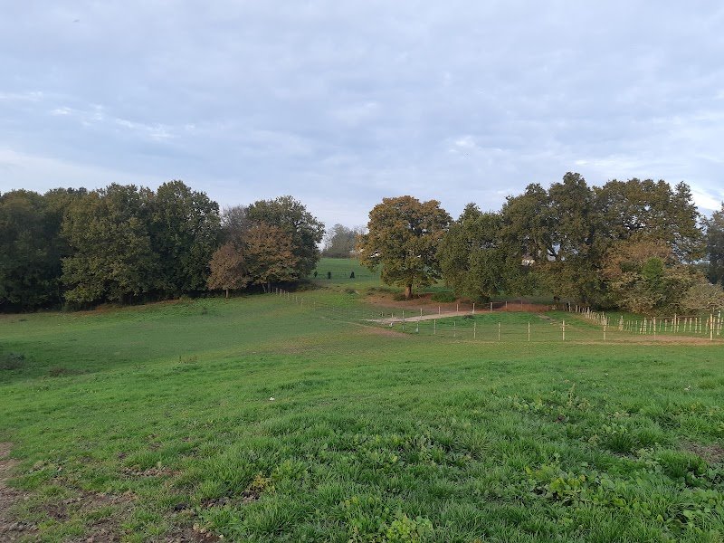 Écurie des 3 châteaux