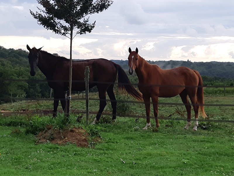 Écurie des 3 châteaux - photo 3