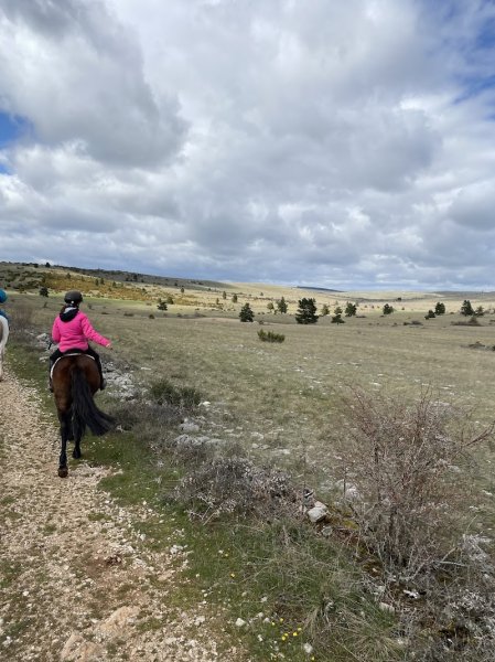 Les écuries du Méjean - photo 1