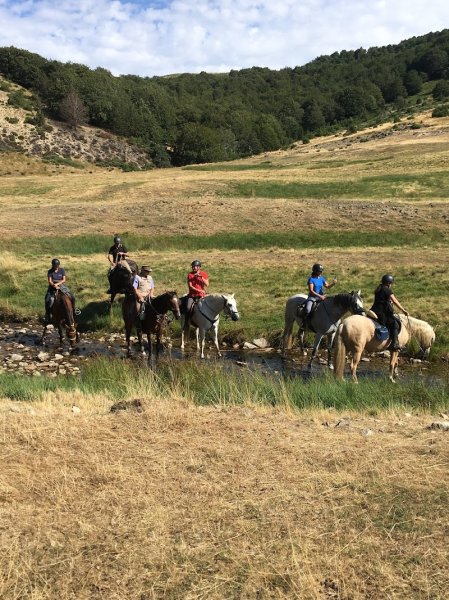 Les écuries du Méjean - photo 3