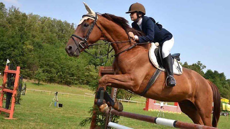 LES CAVALIERS DU RIEUTORD