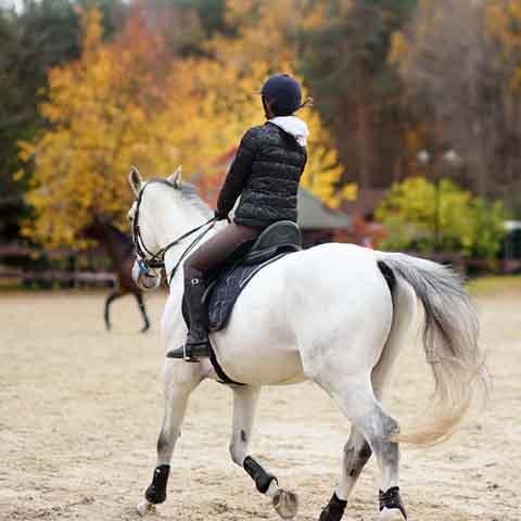 LES CAVALIERS DU RIEUTORD - photo 2