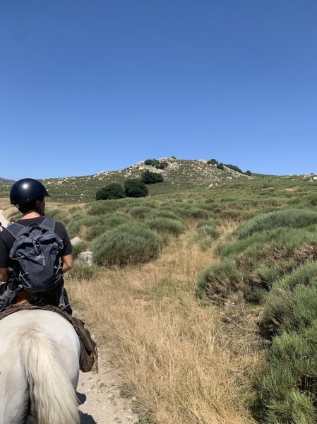 Les crinières transhumantes | Balade à cheval Mont Lozère