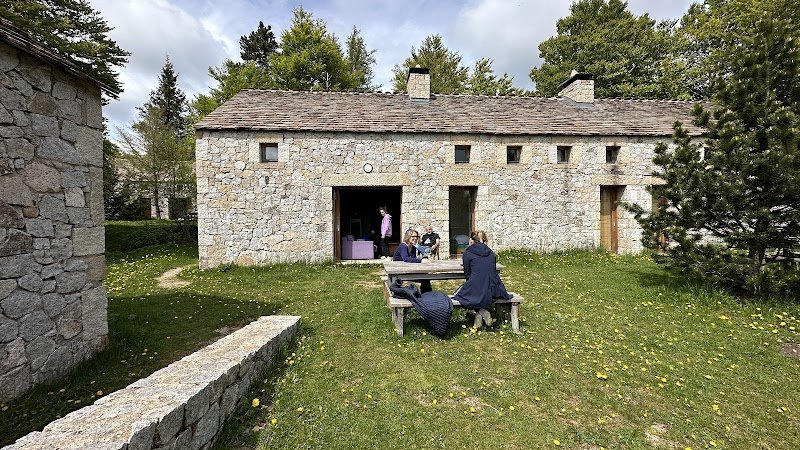Les crinières transhumantes | Balade à cheval Mont Lozère - photo 3