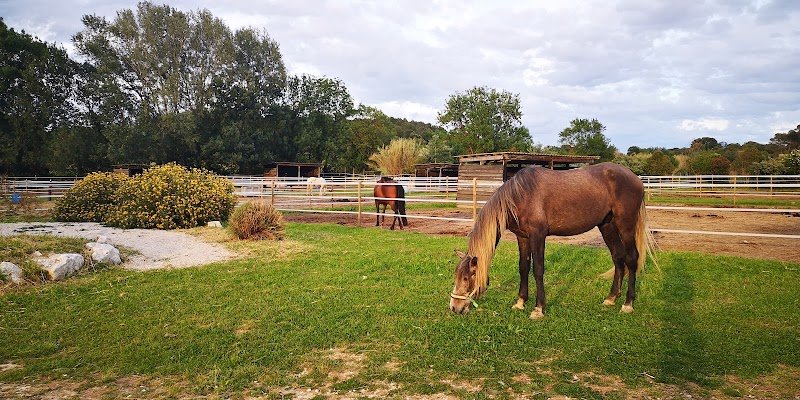 LES ECURIES DE LA COLOMBE