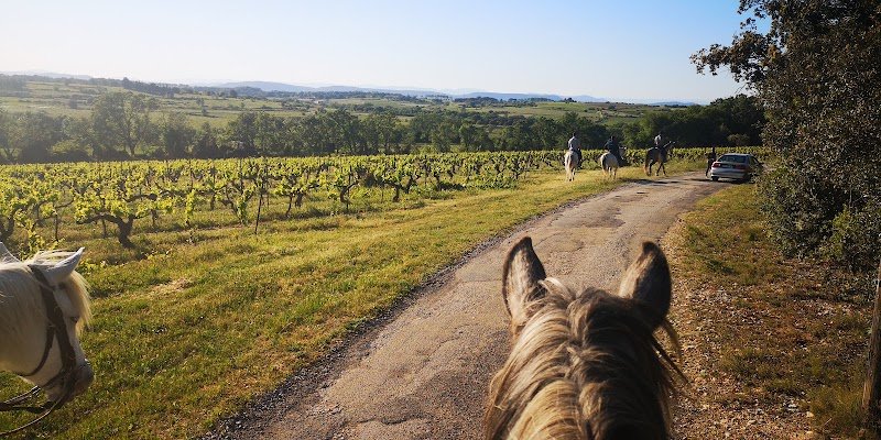 LES ECURIES DE LA COLOMBE - photo 3