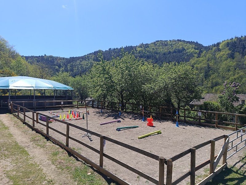 Centre équestre La Vialle - photo 2